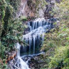 DSC_7087
