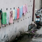 DSC_6565