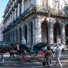 El caballo y el carro